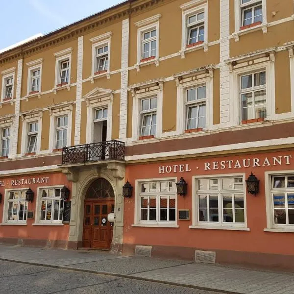 Hotel Sachsenhof, hotel v destinaci Riesa