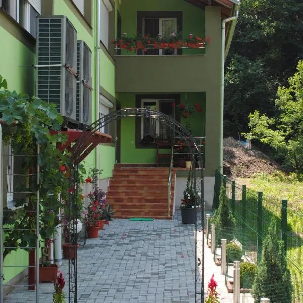Casa Flori de Nuc, hotell sihtkohas Sebiş