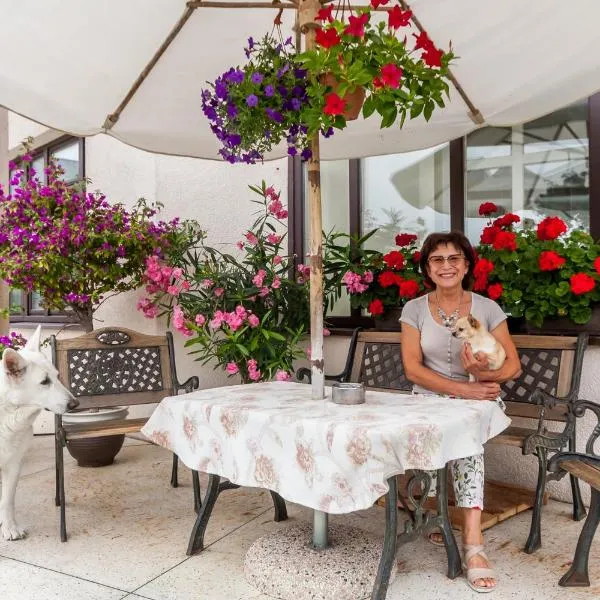 House Marija, hotel v destinaci Vilnius