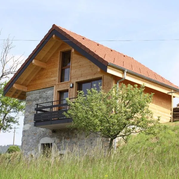 Le chalet des Pierres, hotel in Viuz-en-Sallaz
