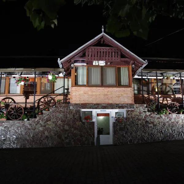 Pensiunea Irina, hotel v destinaci Brad