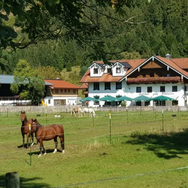 Gutshof zum Schluxen, hotel Pinswangban