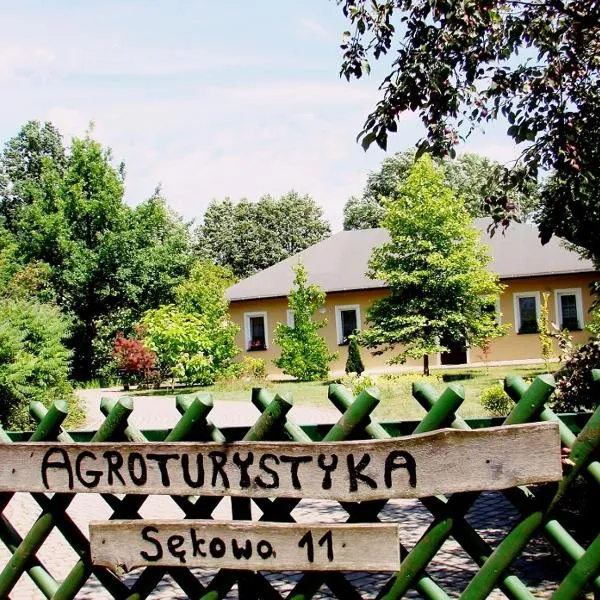 Agroturystyka Pod Modrzewiami, отель в городе Новы-Томысль