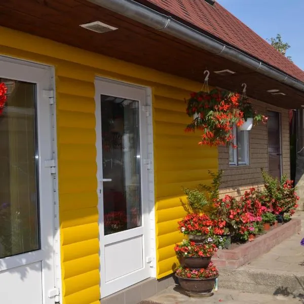 Ziedu pasaule, hotel v destinaci Krāslava