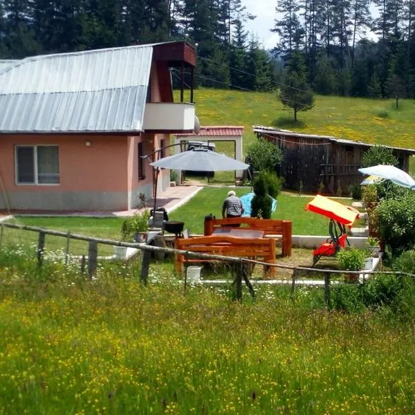 Tolem, hôtel à Borino