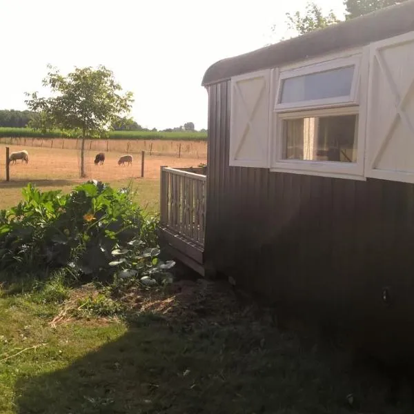 Pipowagen Lidewei Groningen Westerwolde unieke ligging met eigen tuin en vrij uitzicht over veld naar natuurgebied, hotel in Onstwedde
