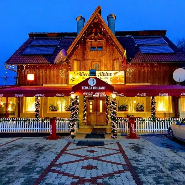 Aterman House, hotel a Vlădeni