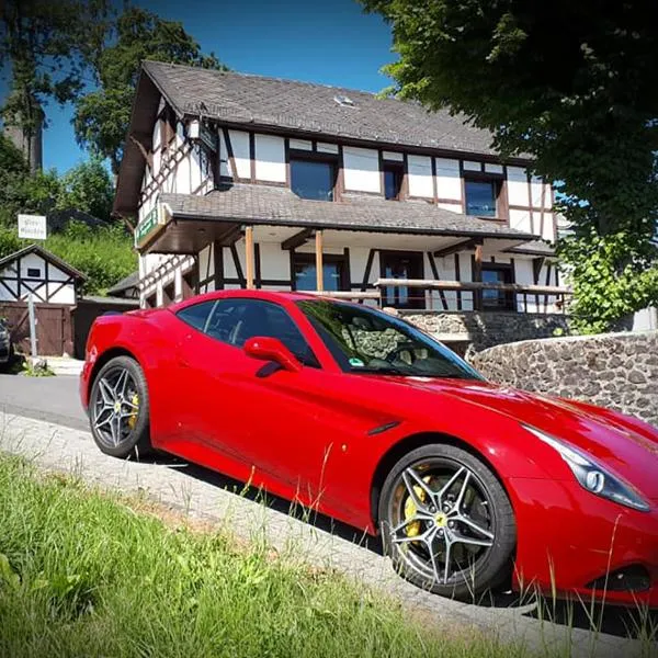 뉘르부르크에 위치한 호텔 DF am Ring Nürburg