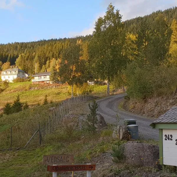 Opslidre Apartment, hotell på Fagernes