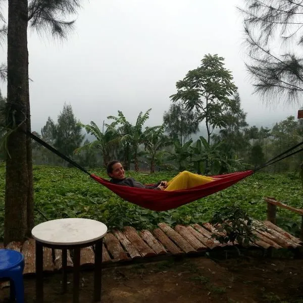 Harumi Dieng, hotel v destinaci Wonosobo