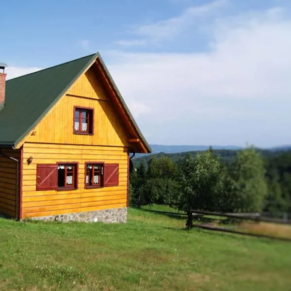 Zagroda Górska na Zobawie，位于米卢夫卡的酒店