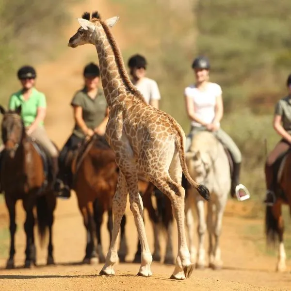 Pakamisa Private Game Reserve, hotel in Pongola