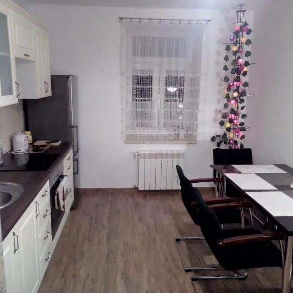 Nowy Apartament CENTRUM - faktura VAT โรงแรมในโวดาวา
