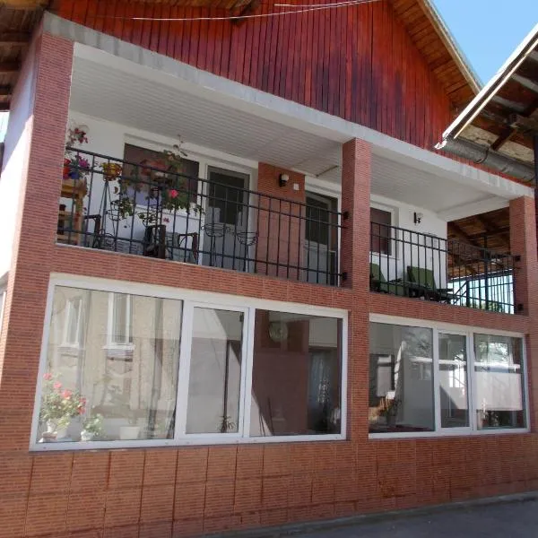 Pensiunea Vasilescu, hotel v destinaci Horezu