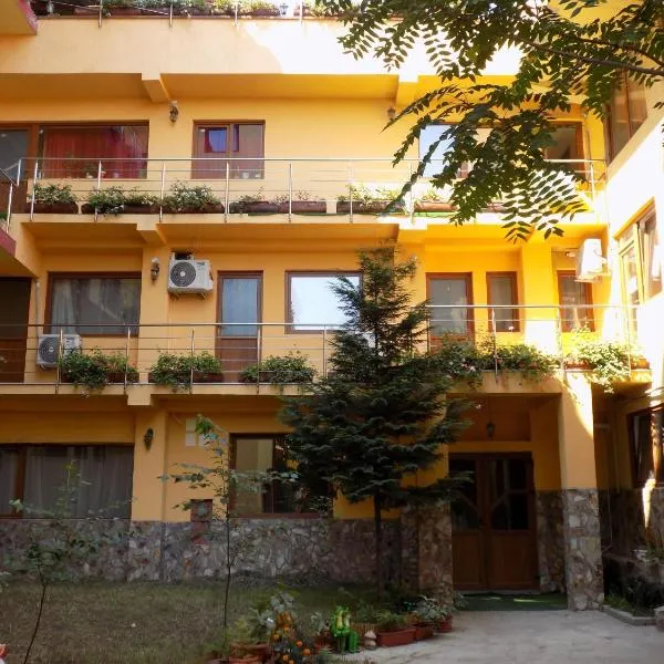 Casa Tiky, hotel in Timişoara