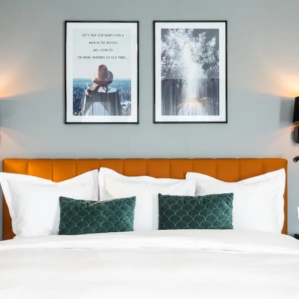 UpperHouse Suites & More、ブラショヴのホテル