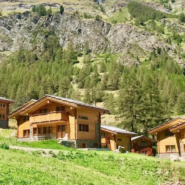 Element Chalets Zermatt、ツェルマットのホテル