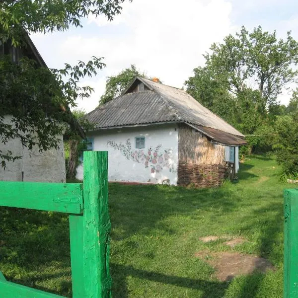 Дибинецькі Карпати, hotel in Misaylovka