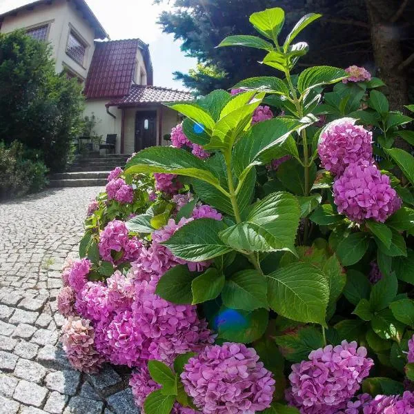 Villa Jaśmin, hotell i Droszków