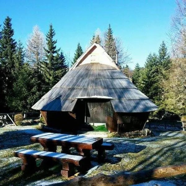 Chalet Kanja Velika Planina, ξενοδοχείο σε Kamniška Bistrica