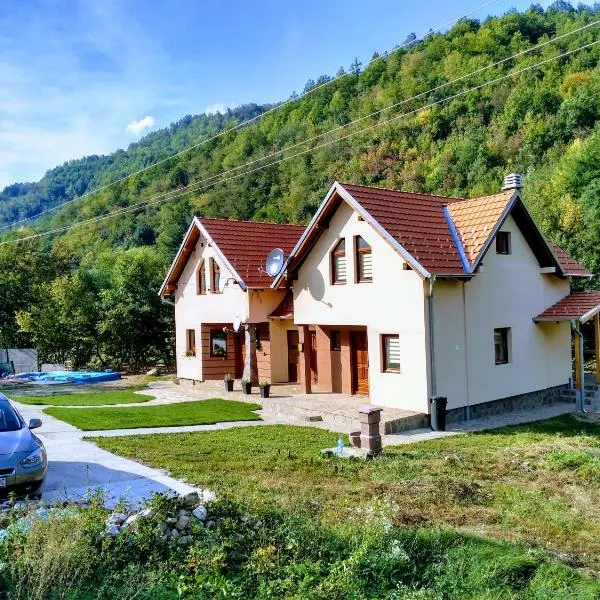 Vila Žubor, hotel en Ćuštica