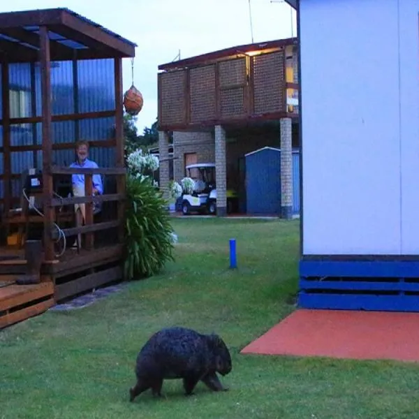 BIG4 Kelso Sands Holiday & Native Wildlife Park、Kelsoのホテル