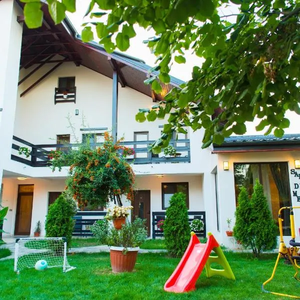 Pensiunea Puiu, hotel in Pasărea