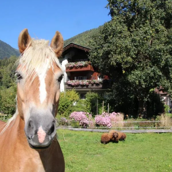 Bio-Bauernhof Auernig, hotel v destinaci Obervellach