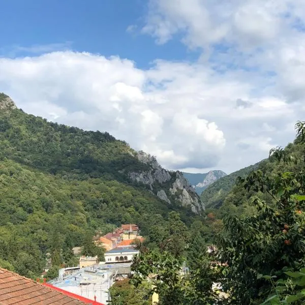 Butoianu Spate I, hotel din Băile Herculane