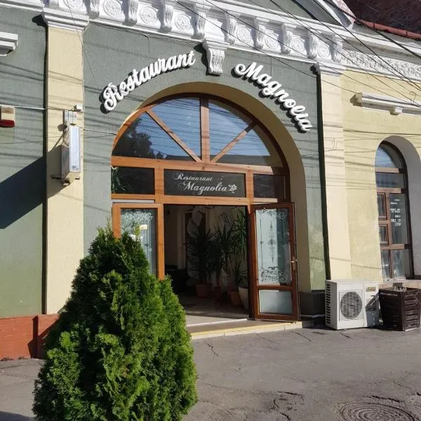 Hotel Magnolia, hotel en Rîmeţi