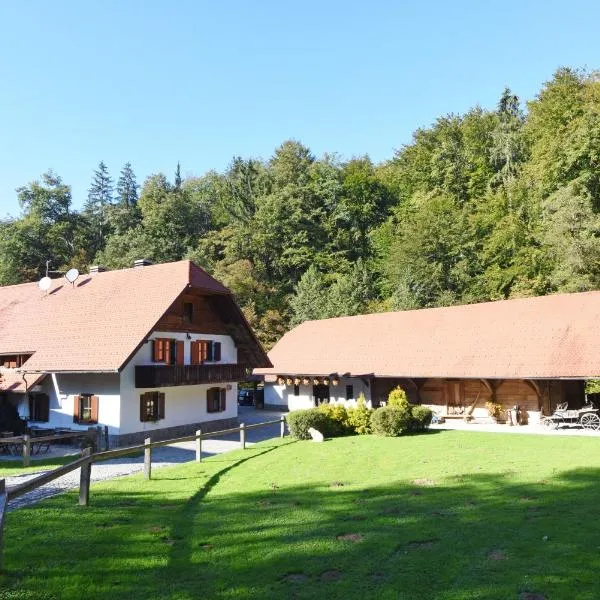 Domačija Šeruga, hotel em Novo Mesto