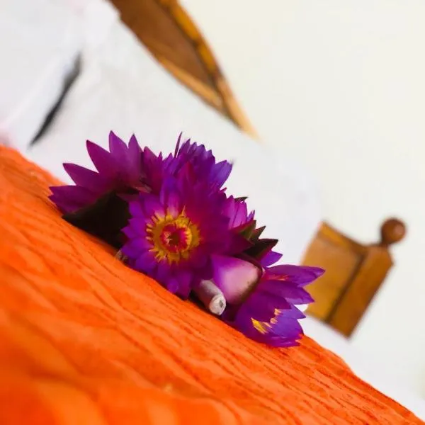 Samanala Resort, hotel v destinaci Matara