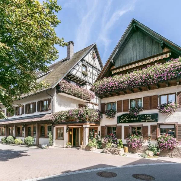 Hotel - Landgasthof Rebstock, hotel v destinaci Nimburg