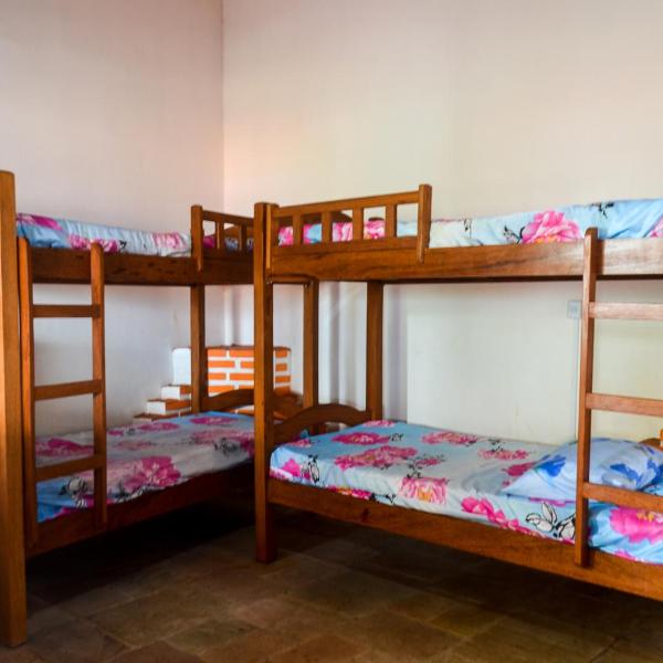 Hostel Ave Rara - Foto 2