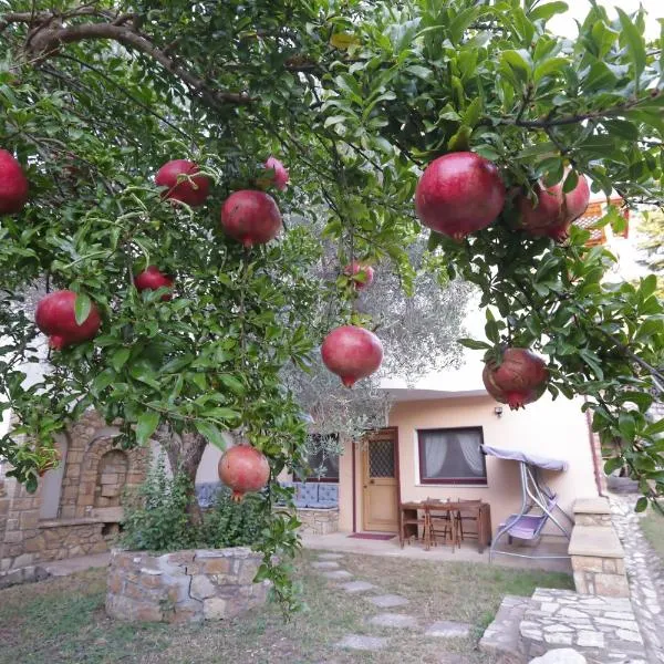 Aslanis-Souroti Garden FAMILY Suite, hotel in Agios Antonios