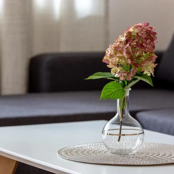 Violetos Lux Apartamentai2, hotel in Druskininkai