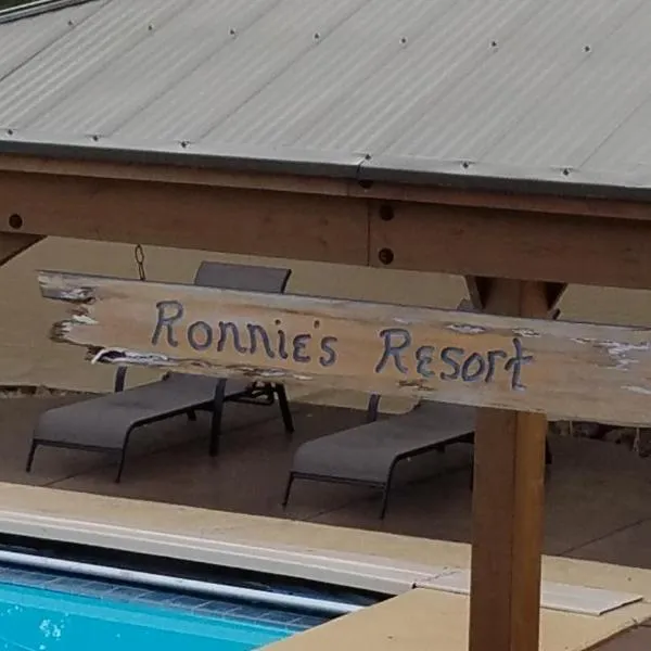 Ronnie's Resort, hotel in Payson
