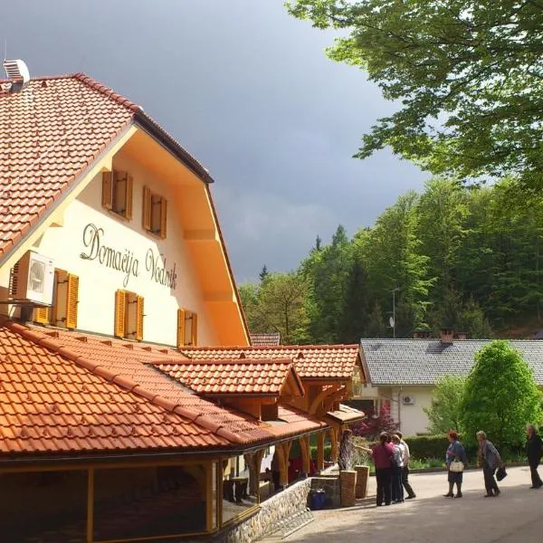 Domačija Vodnik & Apartments, hotel en Cerklje na Gorenjskem