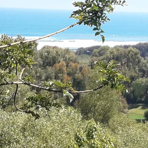B&B Santo Domingo Chile ENGLISH SPOKEN Gran Departamento compartido desayuno incluido frente al mar PARQUE TRICAO bird sanctuary 14kms 9miles away WIFI GRATIS, hotel v destinaci Santo Domingo