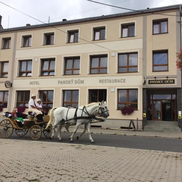 Hotel Panský dům, hotel en Žinkovy