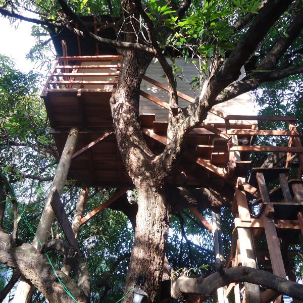 Casa na Árvore - Foto 4