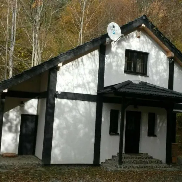 Cabana Crenguta, hotel a Lotrioara