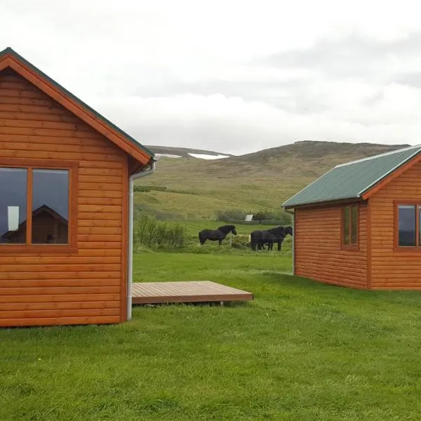 Hvammstangi Cottages, hotel en Laugarbakki