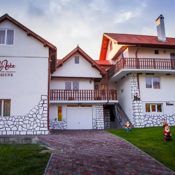 Pensiunea SilvAnka, hotel v destinaci Valea Crişului