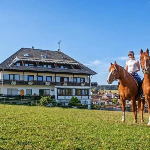 Landpension Pferdekoppel - Self Checkin, hotel en Enzklösterle