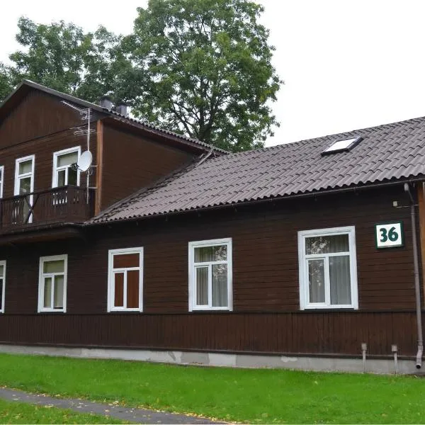 Vila Evelina, hotel v destinaci Druskininkai