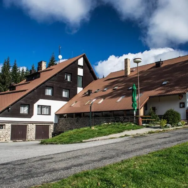 Na Losenici, hotel v destinaci Nicov