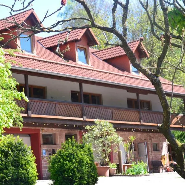 Ferienwohnungen Hof Heiderich, hotel a Beerfelden