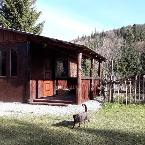 Zbójnicki Ostęp-Nocleg Trapera, hotel v destinaci Kletno