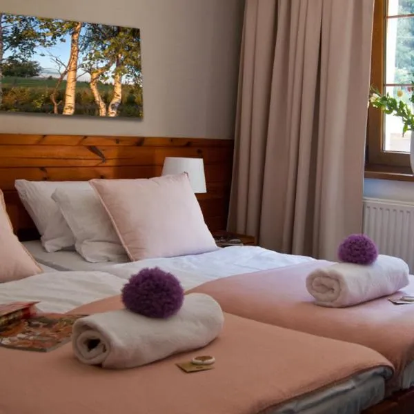 Hotel Górski Czarna Góra, hotel v destinaci Stronie Śląskie